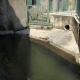 Grillon dans le Vaucluse-lavoir 2 par Jean Pierre Eyss&eacute;ric