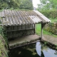 Bazolles-lavoir 5 dans hameau La Bretonni&egrave;re