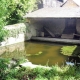 Montign&eacute; les Rairies en Maine et Loire-lavoir 1 par Patrice Coutaud