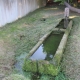 Fr&eacute;mifontaine-lavoir 2