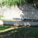 D&ocirc;le-lavoir 2 dans le hameau Arans